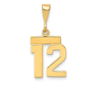 14k yellow gold small polished number 12 charm