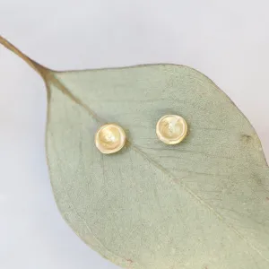 18k Yellow Gold Baby Mussel Shell Studs