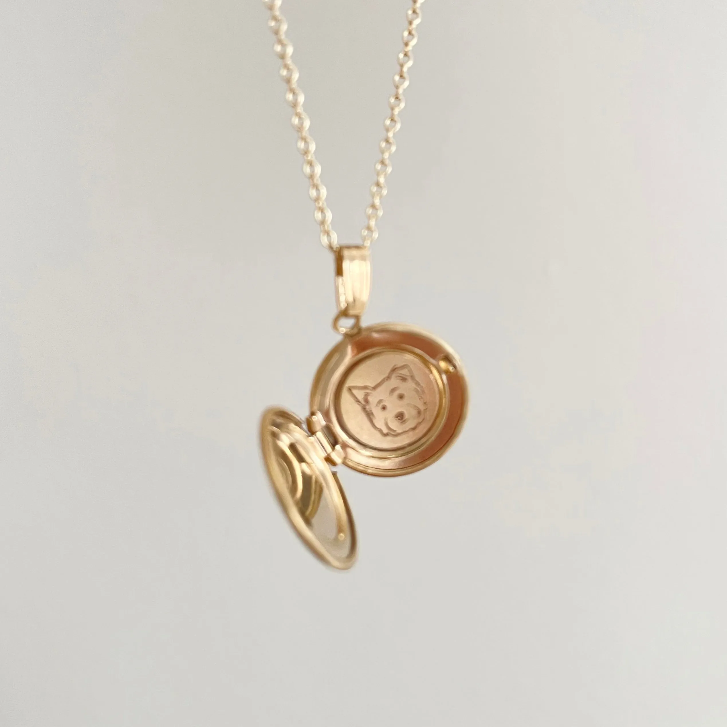 Gold Filled The Petite Silhouette Locket