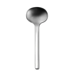 Oneida Vectra Serving Ladle