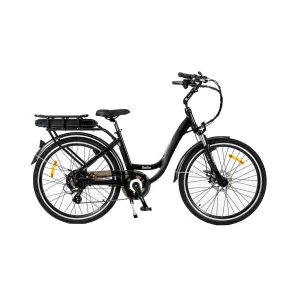 Roodog Chic Electric Bike