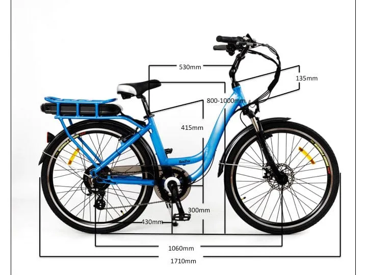 Roodog Chic Electric Bike